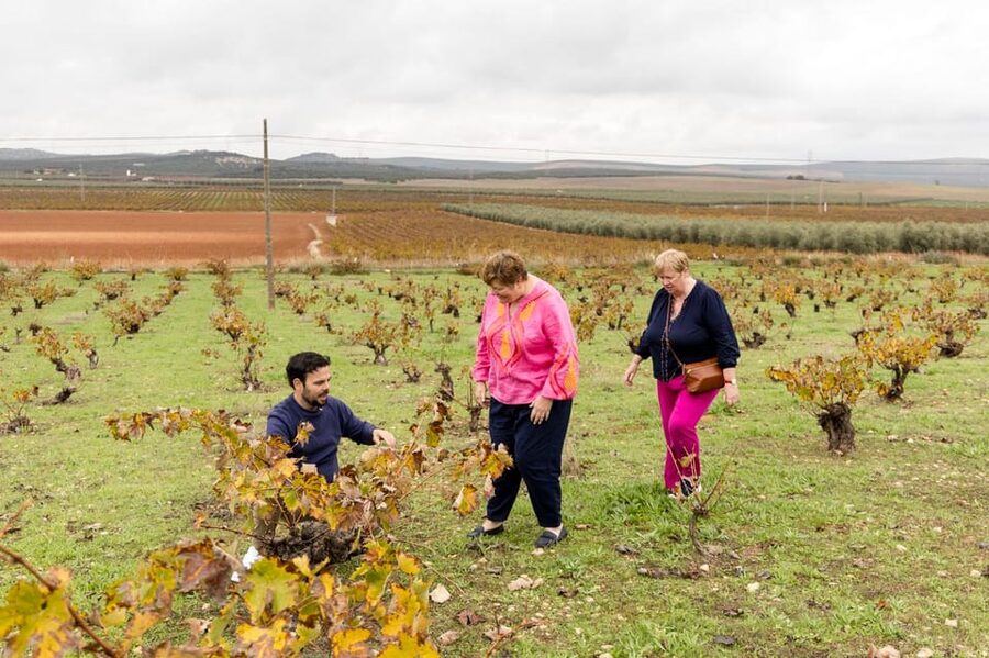 OLIVE OIL & WINE TOUR Organic fields - 5 Wines + 3Olive Oils - The hangar for tasting: oak barrels, 5 wines, 3 olive oils