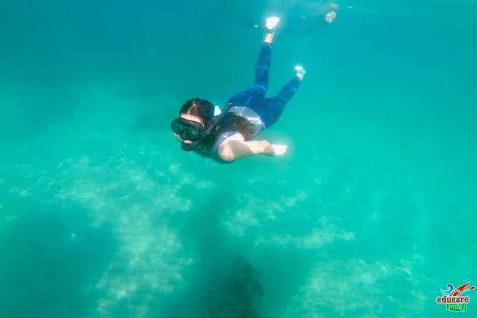 Paddle Surf Route Cliffs Nerja and Cascada de Maro + Snorkel - Cueva del Lobo: riding the cliffs with water-level views