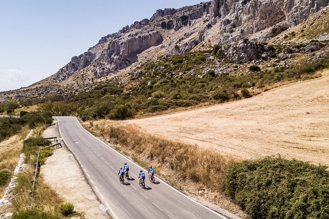 Personalised Road Bike Tour in Malaga - Carbon Road Bike Hire That Actually Matters for Comfort