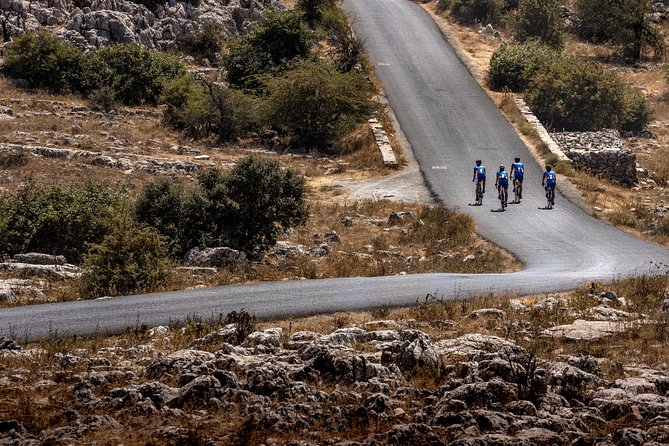 Personalised Road Bike Tour in Malaga - How Long You’ll Ride, and What Each Route Feels Like