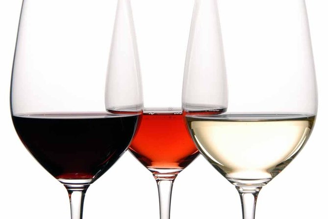 PREMIUM TAPAS TOUR: Tapas, Paella and Winery - What You Eat and Drink, Item by Item