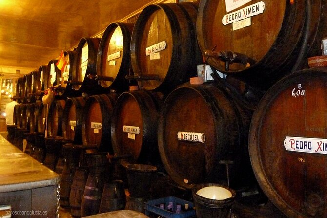 PREMIUM TAPAS TOUR: Tapas, Paella and Winery - Antigua Casa de Guardia: The 1840 Wine Cellar Start