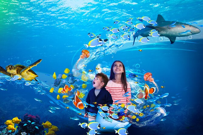 Premium Ticket Sea Life Benalmádena - The Itinerary in One Stop, and Why Timing Still Matters