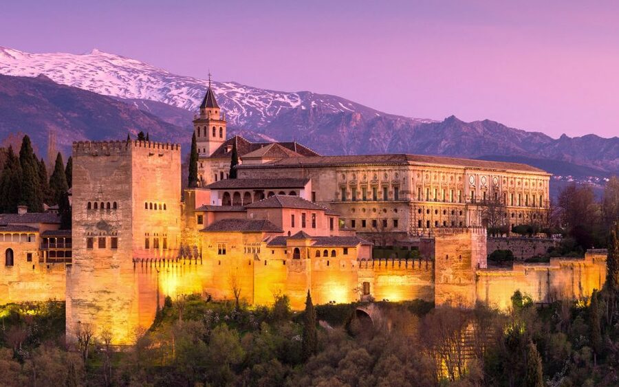 Private Alhambra Tour From Malaga & Surrounds - Nasrid Palaces: Mexuar, Comares, and the Lions Courtyard