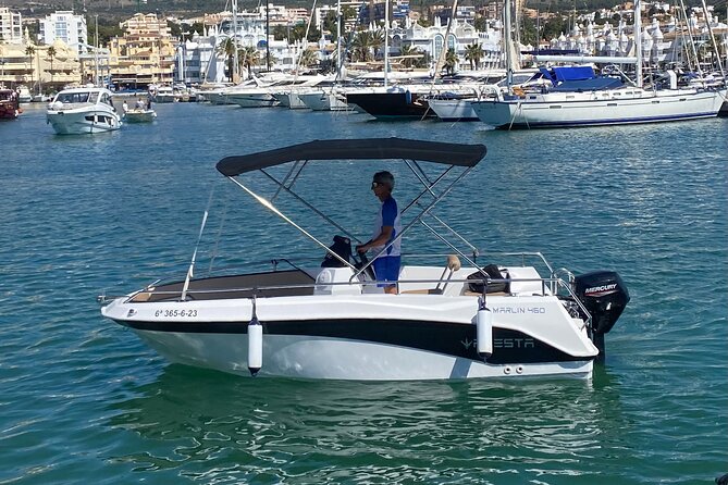 Private boat rental without title dolphin watching - Key things to know before you sail