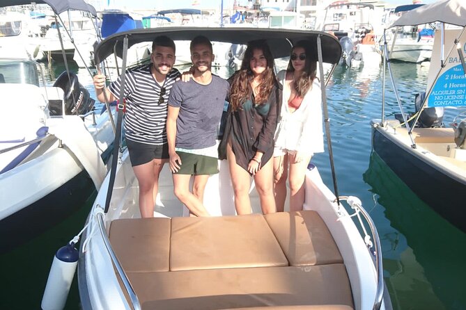 Private boat rental without title dolphin watching - Dolphins and Marine Wildlife Spotting: What to Expect, What to Ignore
