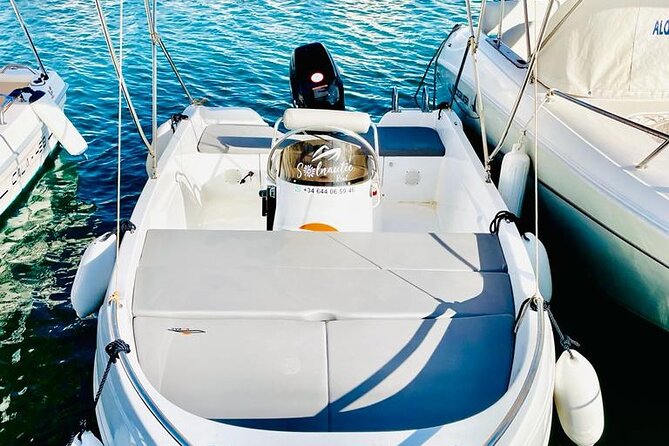 Private boat rental without title dolphin watching - The Boat Itself: Small-Craft Fun, Plus One Real Trade-Off
