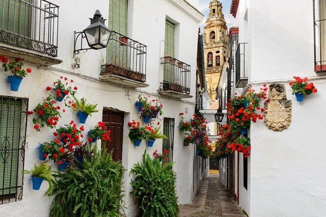 Private Cordoba & Seville Tour with a Finale Horse Carriage Ride - La Judería and the Roman Bridge: a compact Cordoba that still feels special