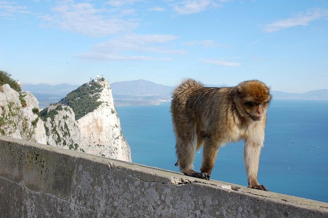 Private Day To Gibraltar from Marbella or Marbella - Gibraltar From Marbella: A Different Day in the Same Region