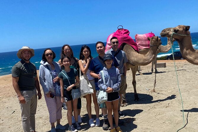 Private Day Tour in Gibraltar and Tangier, Morocco from Malaga - Gibraltar first: La Roca, Punta Europa, and the monkeys