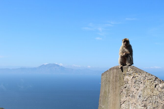 Private Day Tour in Gibraltar and Tangier, Morocco from Malaga - The Costa del Sol and Costa de la Luz drive: views, but not time for long stops