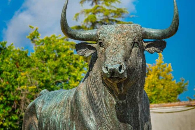 Private Day Trip to Ronda from Malaga with Driver-Guide - Plaza de Toros de Ronda, the bullring stop that actually means something