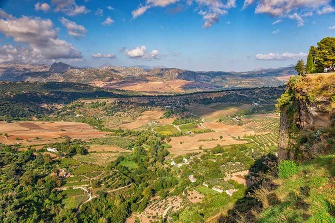 Private Day Trip to Ronda from Marbella - What you’re paying for at $422.39 per person, and what makes it feel fair