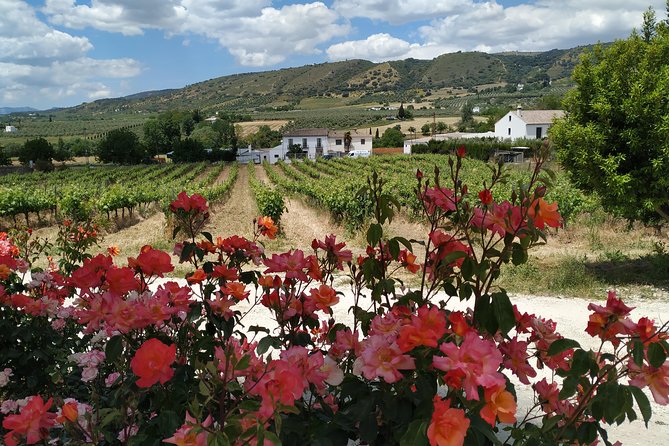 Private Excursion to Ronda from Costa del Sol 7 Hours - Private van pickup from Marbella and Estepona, then coffee at Puente Nuevo