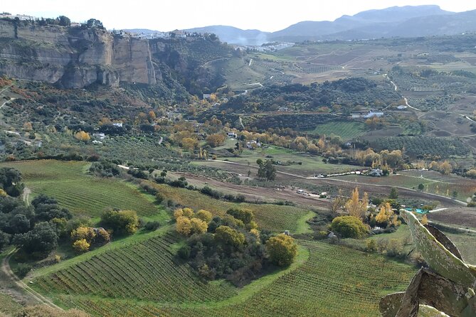 Private Excursion to Ronda from Costa del Sol 7 Hours - Plaza Duquesa de Parcent to Puente Viejo: old city center, churches, then the bridge into The City