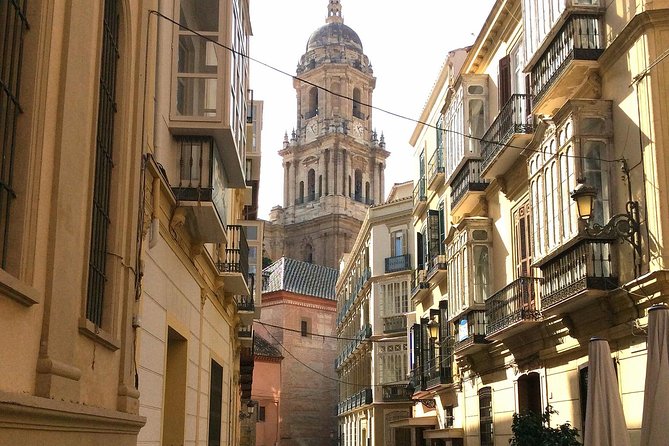 Private full day tour in Malaga from Costa del sol - Museo Picasso Málaga: Ruins Under the Same Roof