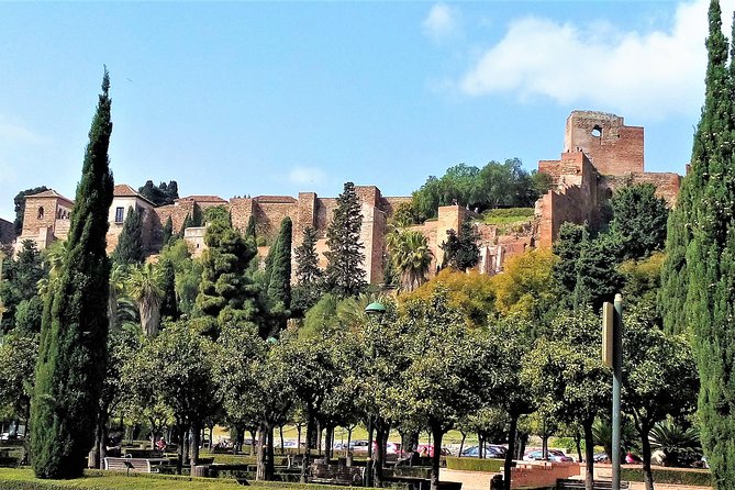 Private full day tour in Malaga from Costa del sol - La Calle Larios and Plaza de la Constitución: The City’s Everyday Heart