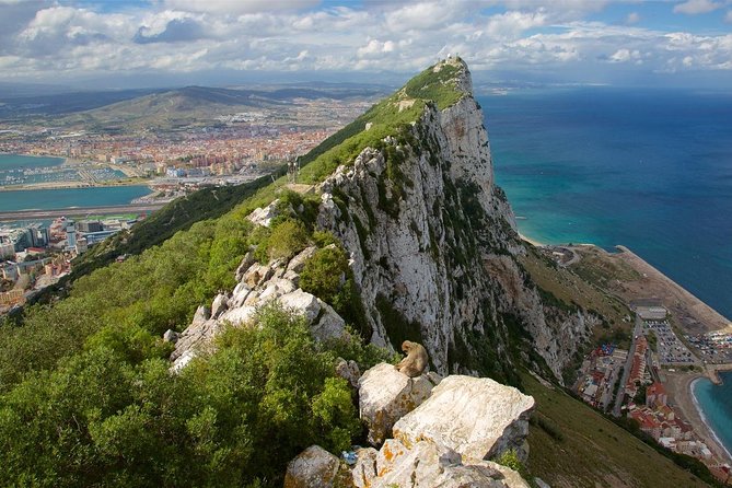 Private Full Day Tour of Gibraltar from Malaga or Marbella - Gibraltar from the Costa del Sol: why this day trip works