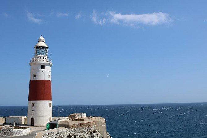 Private Full Day Tour of Gibraltar from Malaga or Marbella - Should you book this Gibraltar day trip?