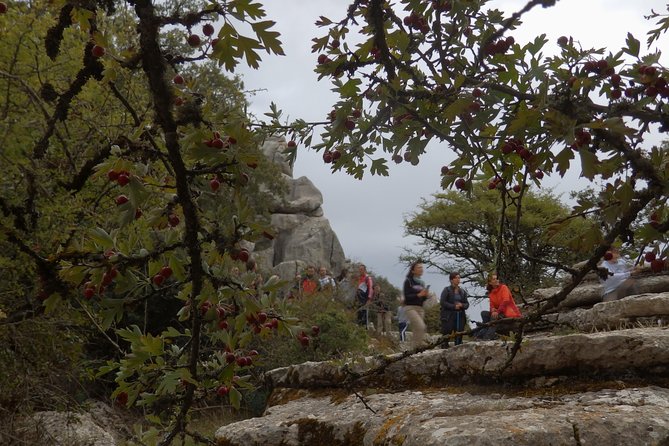 Private Guided Tour to Torcal de Antequera - Weather Reality: When the Sky Changes the Plan
