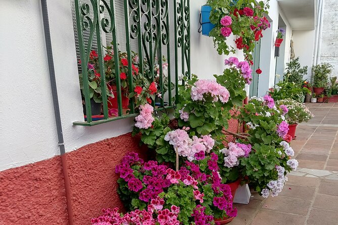Private half-day tour of Ronda and the White Villages with native - Ronda’s Best Corners: Seeing the City Without Losing Time