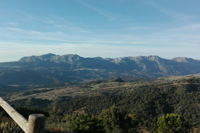 Private half-day tour of Ronda and the White Villages with native - Pickup, Timing, and How the Day Flows in Real Life