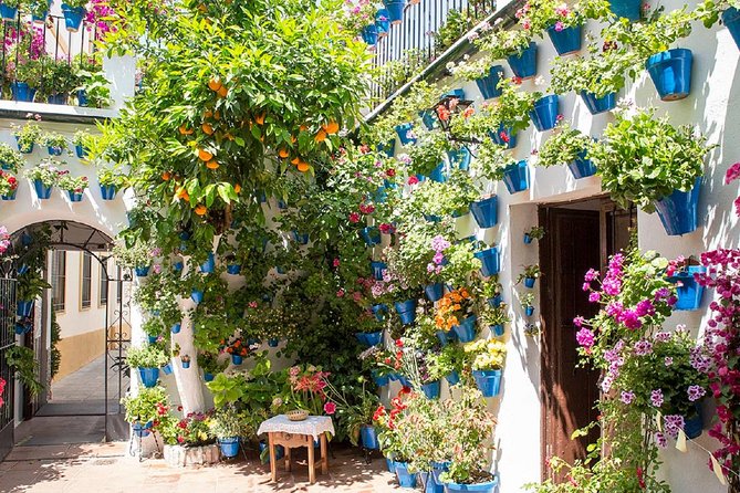 Private Multiday: Cordoba,Granada, Alhambra & Seville from Malaga - Small Considerations That Can Affect Your Enjoyment