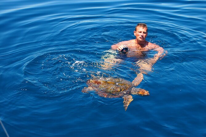 Private Sailing - dolphin Experience Estepona - drink & food - 4h - How to Prepare So You Enjoy the Sea Time