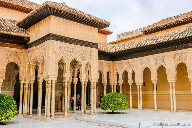 Private tour from Malaga to the Alhambra Palace and Granada - Who this tour suits best, and who should think twice