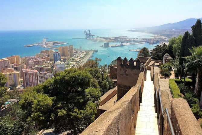 Private tour in Malaga from Costa del Sol - Museo Picasso Málaga: the included Picasso birthplace route (and more)