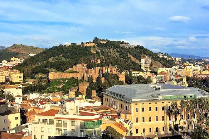Private tour in Malaga from Costa del Sol - Picasso-free time in central Malaga, plus how to use it well