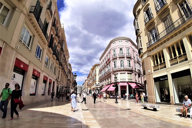 Private tour in Malaga from Costa del Sol - Price and logistics: what $363.03 per person is buying you