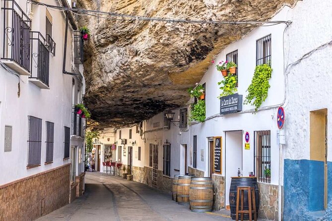 Private Tour of Ronda and Setenil de Las Bodegas - Stop 1, the Malaga to Ronda drive with olive oil tasting