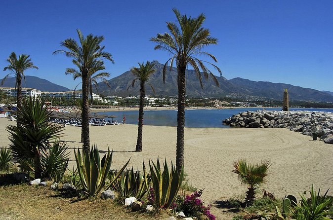 Private Transfer from Malaga airport (AGP) to Torremolinos - Timing safety: delays, the 60-minute wait, and avoiding a bad arrival night