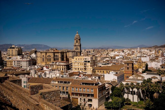 Private Walking Tour in Málaga - Alcazaba: fortress views plus a guide who makes the story human
