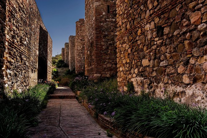 Private Walking Tour in Málaga - Price and value: what $192.25 per group buys you in real life
