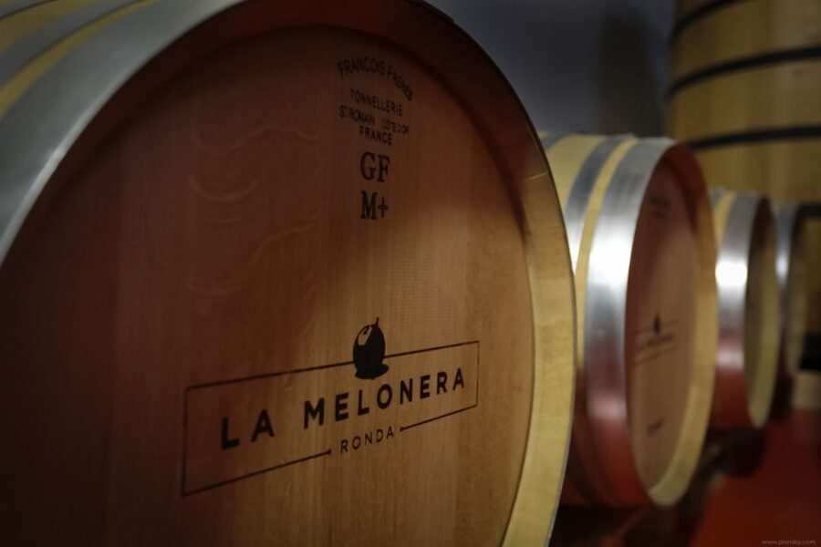 Private Winery Tour and Visit to Ronda - Key Things To Know Before You Go
