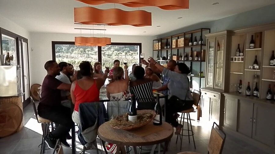 Private Winery Tour and Visit to Ronda - A Private Winery Tour That Actually Teaches You Something About Wine