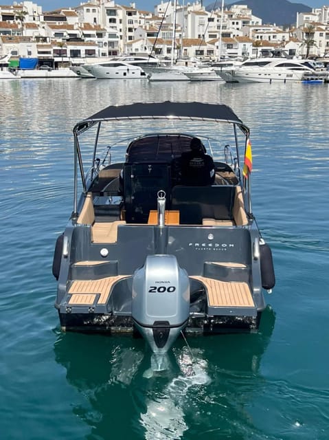Puerto Banus: Boat Charter Moonday Yacht - Dolphins on board: what to expect and how to set realistic hopes