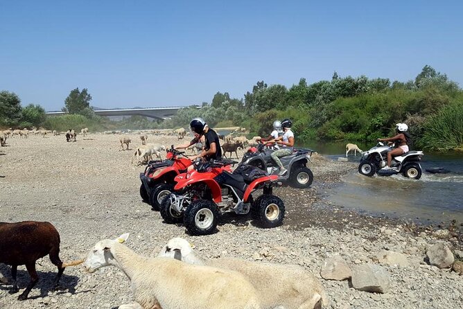 Quad Bikes for Guided Tours. - A 2-hour Guided Quad Ride That Feels Like Training, Not Chaos