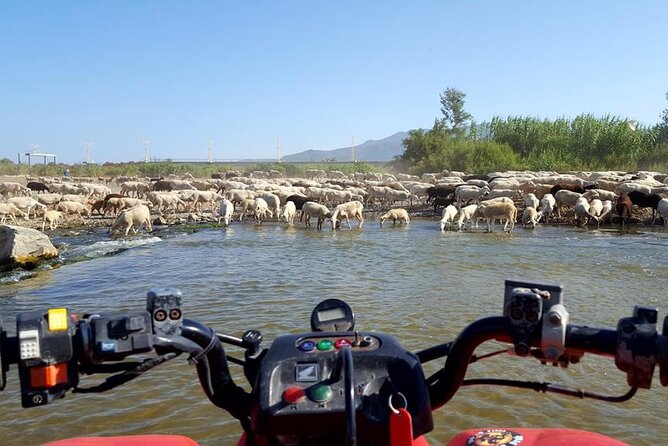 Quad Bikes for Guided Tours. - Around Malaga Airport: Planes, Dirt Tracks, and Unusual Access