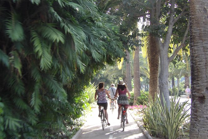 Rent a City Bike: Full Day 24 hours - Why Málaga feels made for a city bike day