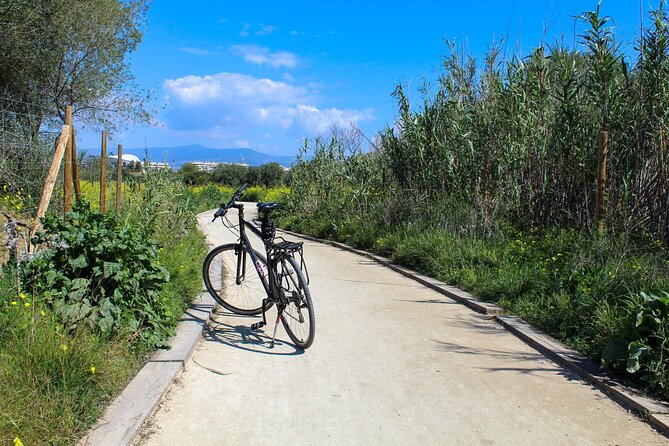 Rent a Trekking bike: Full Day 24 hours - English commentary and what Damon’s style adds to the ride