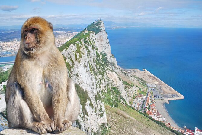 Rock Tour in Gibraltar by Bus with Tickets - The Rock of Gibraltar: the main viewpoints, 55 minutes that matter