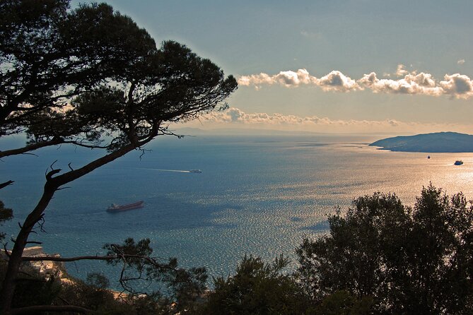 Rock Tour in Gibraltar by Bus with Tickets - The guide and group size: how the experience can feel different day to day