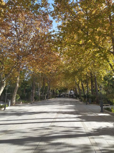 Ronda: 2-Hour Private Walking Tour - Paseo de Ernest Hemingway: why the American author matters here