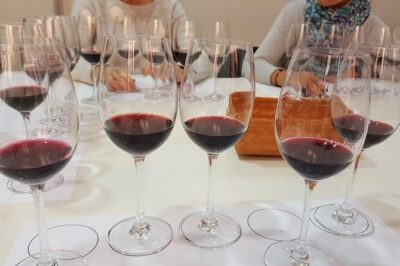 Ronda Day Tour and Winery Visits from Marbella