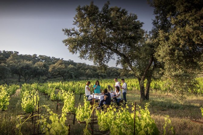 Ronda Private Full Day Wine Tour - Key highlights worth your attention