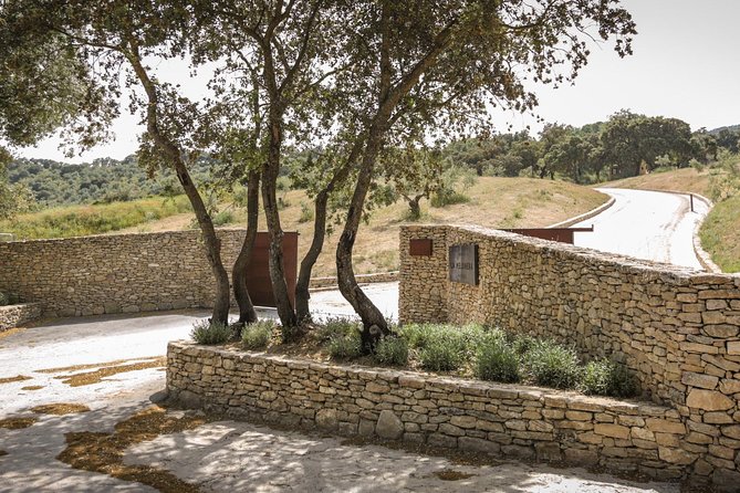Ronda Private Full Day Wine Tour - Why the guide and driver quality makes or breaks the day