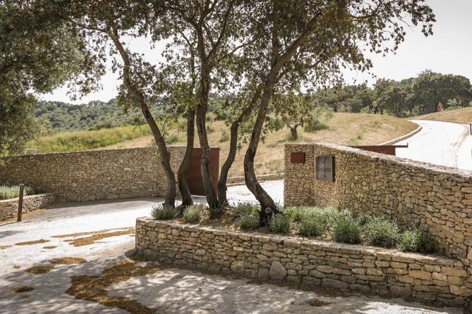 Ronda Private Wine Tour + Free Time in Ronda - Value, Price, and Why Private Can Be Worth It Here